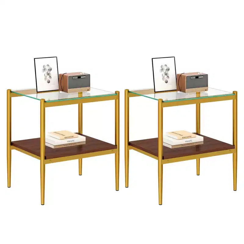 Okak Modern End Table with Tempered Glass Tabletop, Side Table with Bottom Shelf and Metal Frame, Couch Table for Living Room, Set of 2