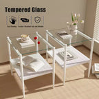 Okak Modern End Table with Tempered Glass Tabletop, Side Table with Bottom Shelf and Metal Frame, Couch Table for Living Room, Set of 2