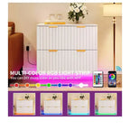2-Drawer Lateral File Cabinet With LED Light Filing Cabinet For Office Organizer, Home Office Storage File Cabinet For Letter Legal A4 Size